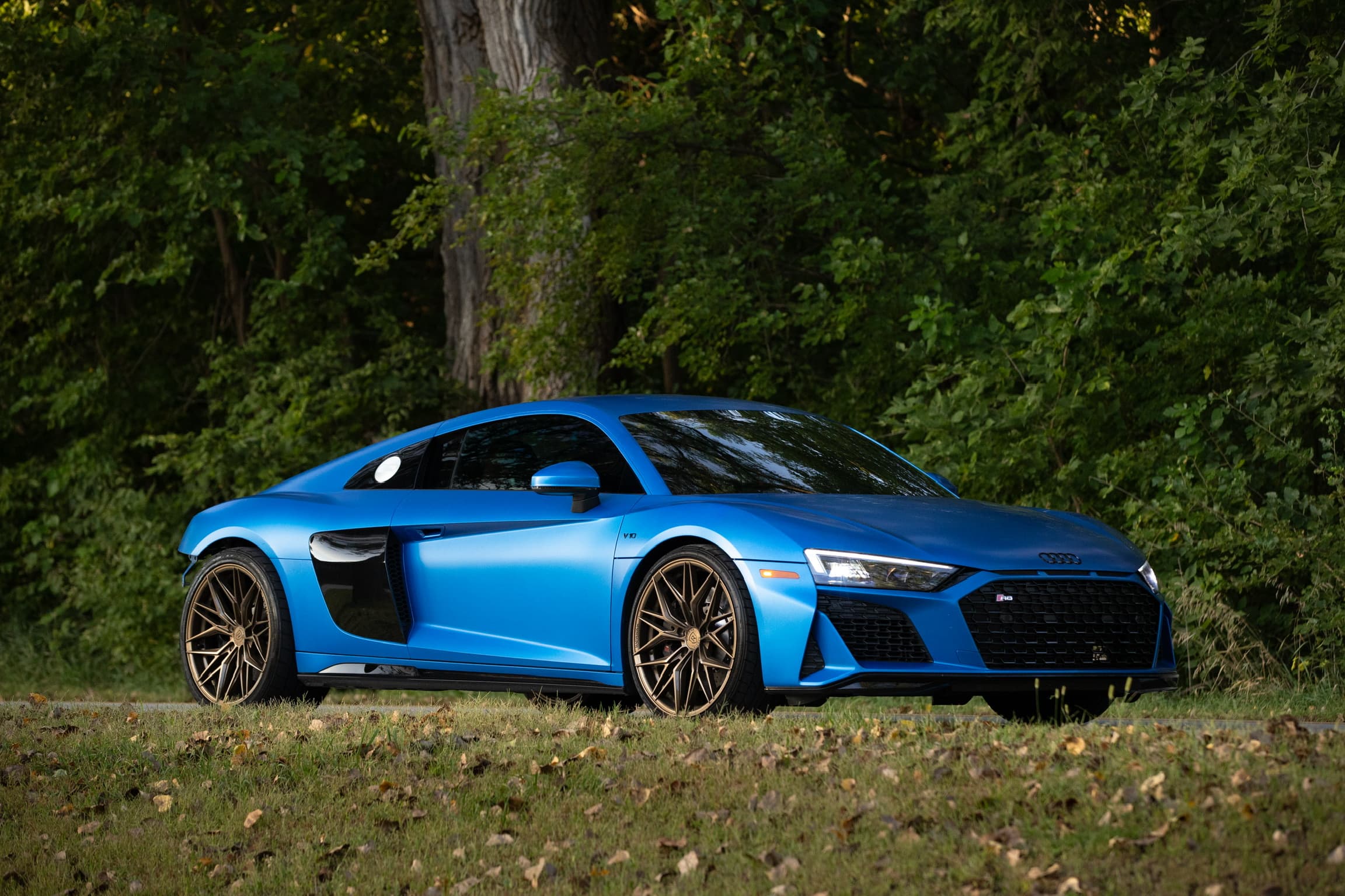 2023 Audi R8 Performance - Photo 1
